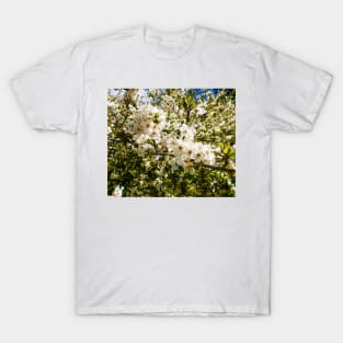 Spring motif of flowering trees T-Shirt